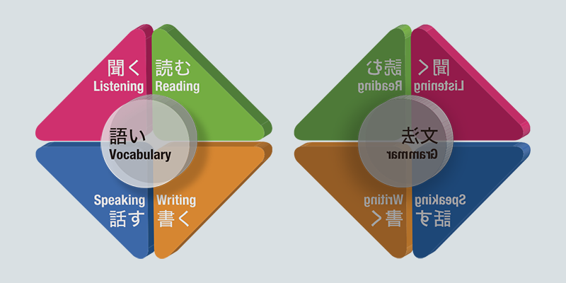 英語の各技能の連関